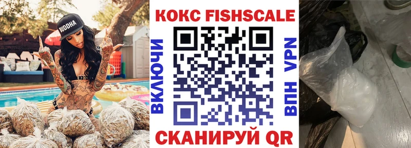 Купить где  Трубчевск  Cocaine Fish Scale 