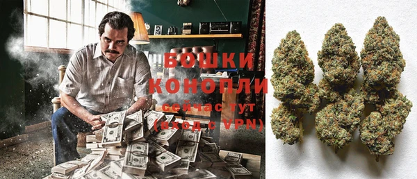 ECSTASY Вяземский