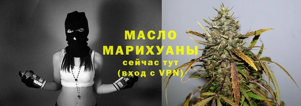 ECSTASY Вяземский