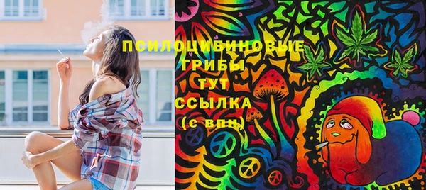 ECSTASY Вяземский