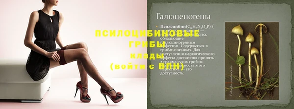 ECSTASY Вяземский