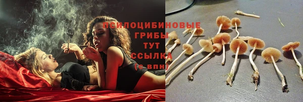 ECSTASY Вяземский