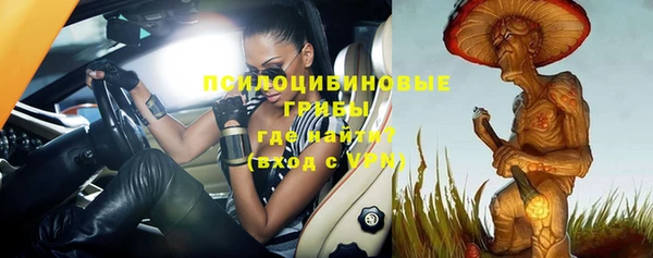 ECSTASY Вяземский