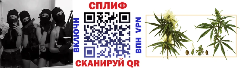 Купить  Трубчевск  Конопля тримм 